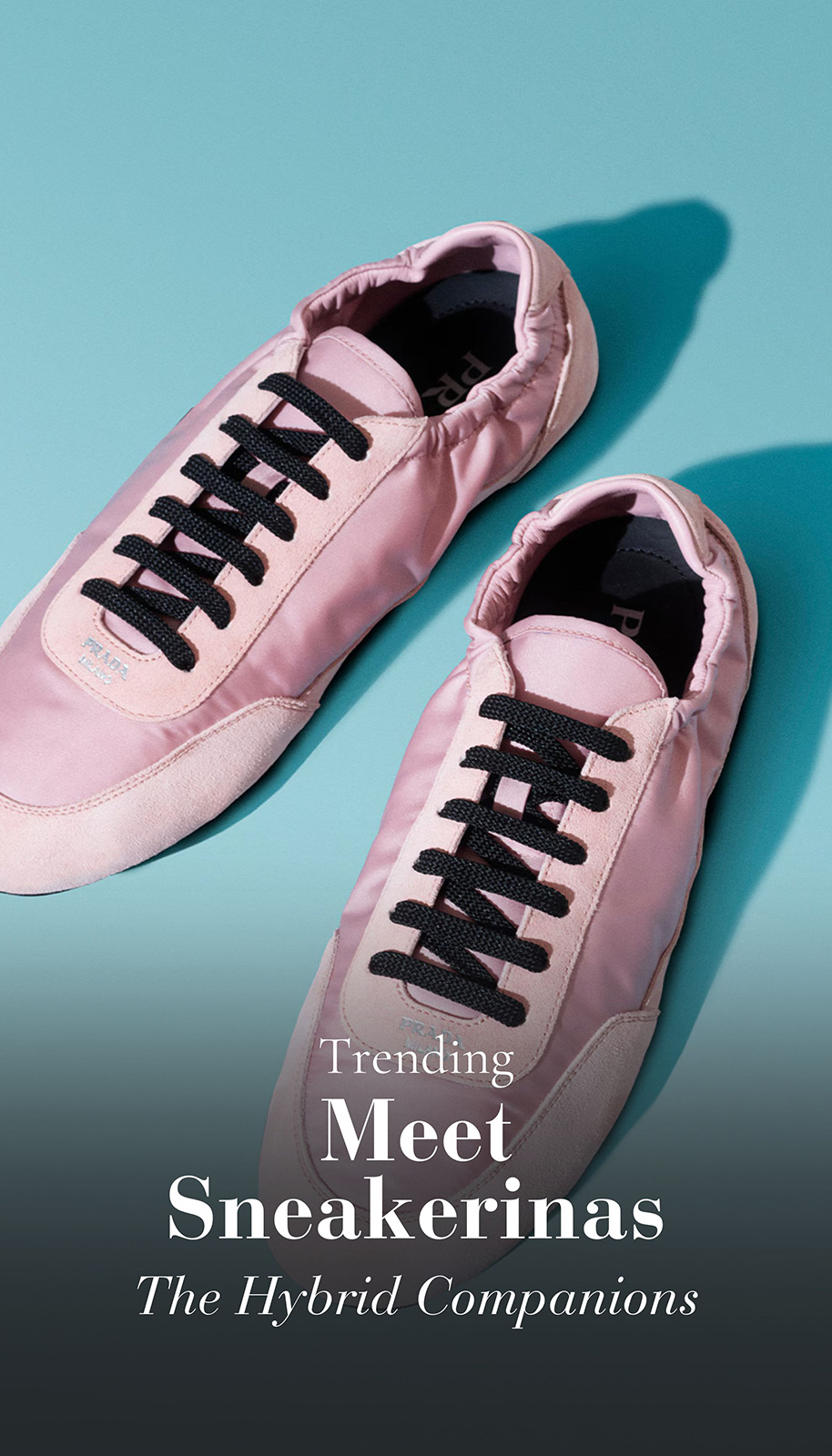 Read more about the article Meet the Sneakerina Shoes: Your New Best Friend for Chic Comfort