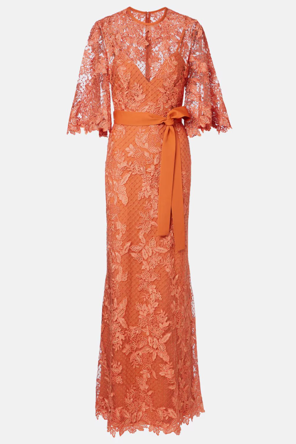 Elie Saab Embroidered lace and tulle gown